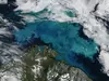 Barents Sea: Phytoplankton bloom in the Barents Sea captured August 14, 2011.